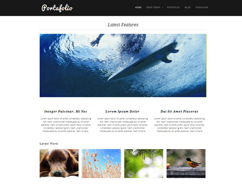 Theme Portafolio für WordPress